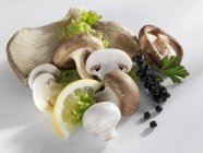 Botón, shiitake y champiñones de ostra - foto de stock