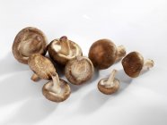 Shiitake mushrooms, close-up — Stock Photo