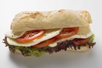 Tomato and mozzarella sandwich — Stock Photo