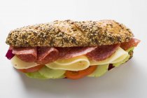 Sándwich de salami y queso - foto de stock