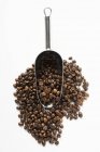 Coffee beans with scoop — Stock Photo