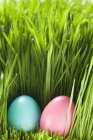 Two Easter eggs — Stock Photo