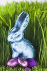 Easter Bunnyand eggs — Stock Photo
