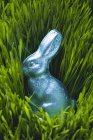 Пасхальный кролик в траве — стоковое фото