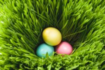 Oeufs de Pâques dans l'herbe — Photo de stock