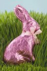 Easter Bunny in grass — Stock Photo
