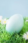 Vista de cerca de huevo de Pascua de color azul en la hierba con margaritas - foto de stock