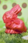 Conejo de Pascua rojo - foto de stock