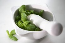 Fresh basil with olive oil — Stock Photo