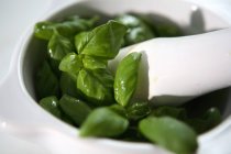Basilic frais à l'huile d'olive — Photo de stock
