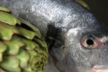 Сырой морской лещ с артишоком — стоковое фото