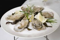 Fresh oysters with lemon — Stock Photo