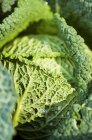 Savoy green cabbage — Stock Photo