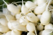 Редис свіжий білий — стокове фото