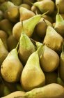 Fresh ripe yellow Pears — Stock Photo