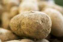 Pilha de batatas cruas limpas — Fotografia de Stock