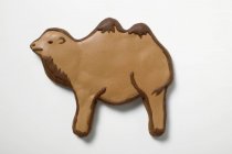 Christmas biscuit in shape of camel — Stock Photo