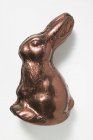 Шоколадный кролик в фольге — стоковое фото