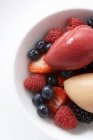 Sorbet scoops with fresh berries — Stock Photo