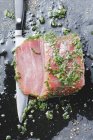 Atum marinado com ervas — Fotografia de Stock