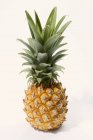 Ananas bambino maturo — Foto stock