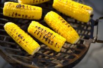 Corn on the cob on barbecue — Stock Photo