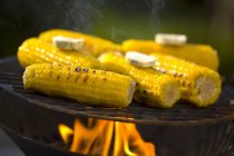 Mais auf dem Maiskolben mit Kräuterbutter — Stockfoto