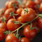 Tomates de coquetel vermelhos frescos — Fotografia de Stock