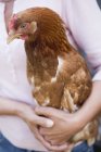 Nahaufnahme einer Frau, die eine Henne am Leben hält — Stockfoto