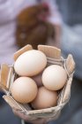 Яйца и живая курица — стоковое фото