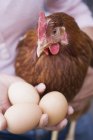 Œufs et poules vivantes — Photo de stock