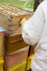 Daytime cropped view of beekeeper in front of several beehives — Stock Photo