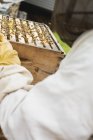 Крупный план пчеловода, держащего улей — стоковое фото