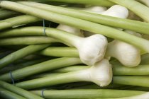 Fresh ripe garlic — Stock Photo