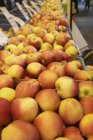 Apples on market stall — Stock Photo