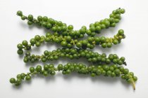Кучки свежих зеленых перцев — стоковое фото