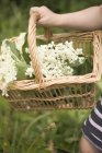 Criança segurando cesta flores de ancião no jardim — Fotografia de Stock