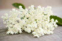 Closeup view of elderflowers on wooden surface — Stock Photo