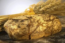 Blé mélangé et pain — Photo de stock