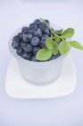 Fresh ripe blueberries with leaves — Stock Photo