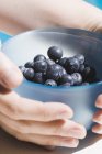 Human hands holding blueberries — Stock Photo