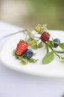 Wild strawberries and blueberries — Stock Photo