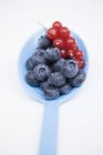 Bleuets frais mûrs et groseilles rouges — Photo de stock