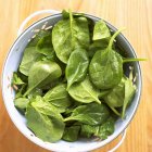 Freshly washed spinach — Stock Photo