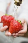 Human hands washing strawberries — Stock Photo