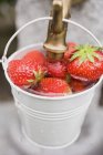 Washing strawberries in bucket — Stock Photo