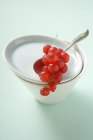 Redcurrants on saucer with bowl — Stock Photo