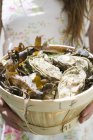 Panier plein d'huîtres fraîches — Photo de stock