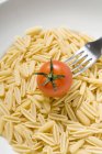 Trockene, ungekochte Cavatelli-Nudeln mit Tomaten — Stockfoto