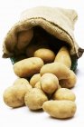 Мешок сырого и помытого картофеля — стоковое фото